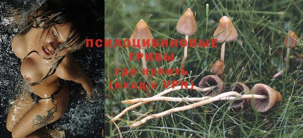 гидропоника Сатка